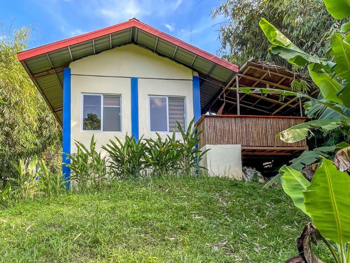 Blue Moon Guesthouse Puerto Princesa Dış mekan fotoğraf