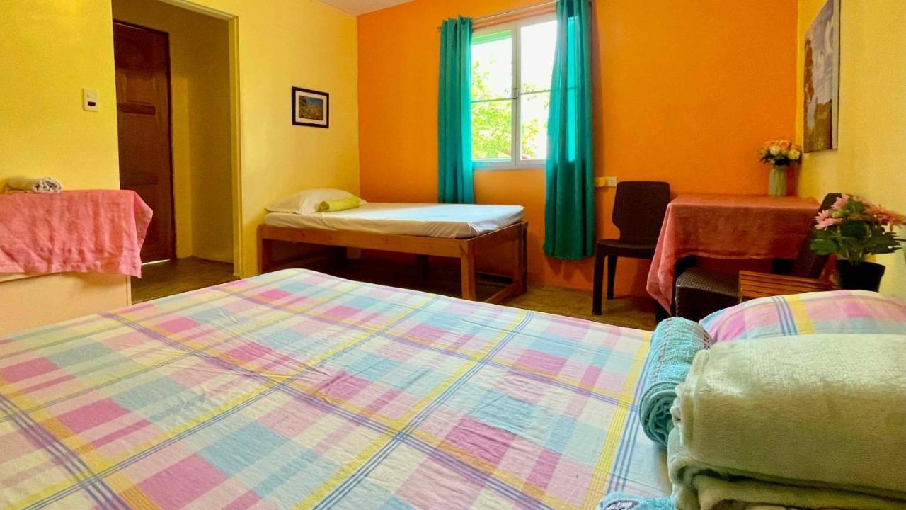 Blue Moon Guesthouse Puerto Princesa Dış mekan fotoğraf