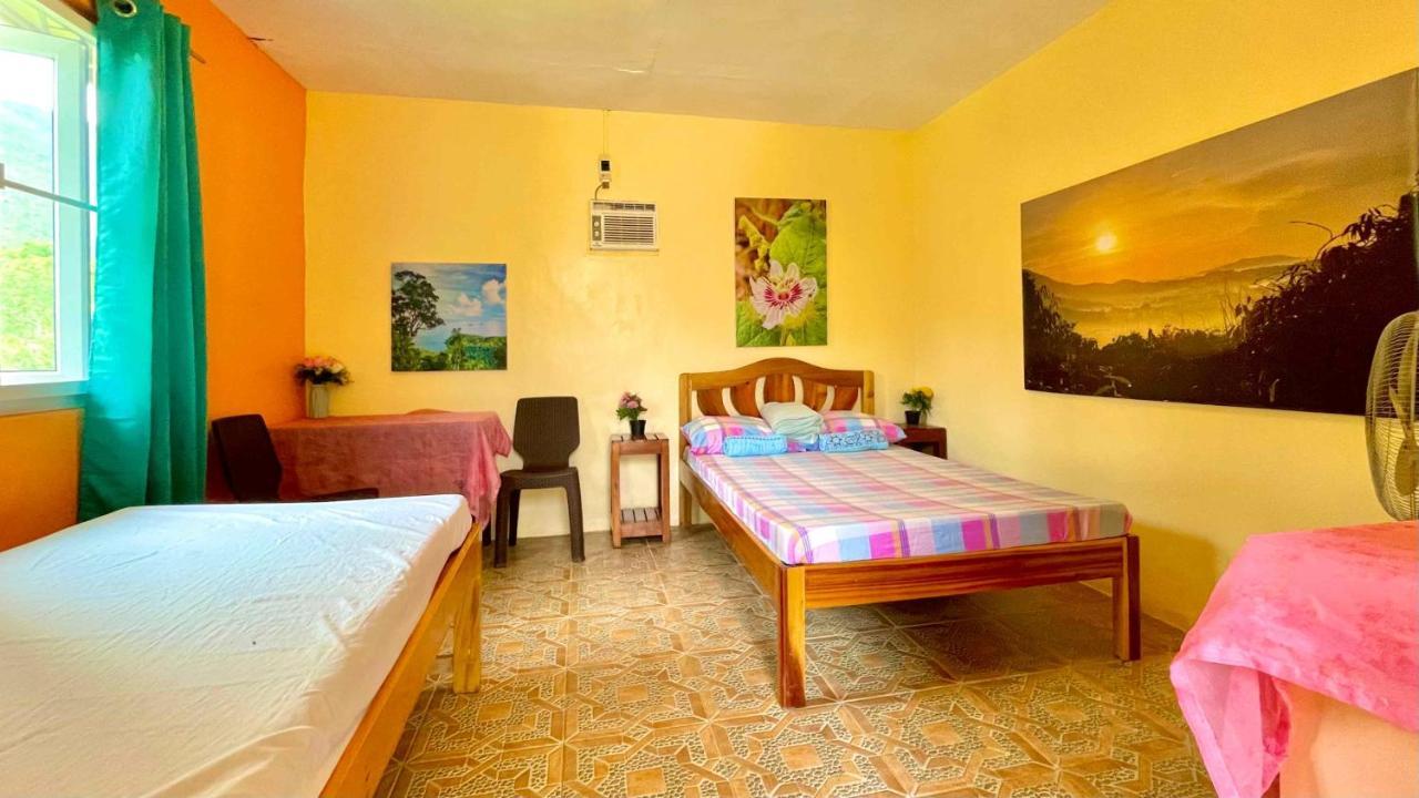 Blue Moon Guesthouse Puerto Princesa Dış mekan fotoğraf
