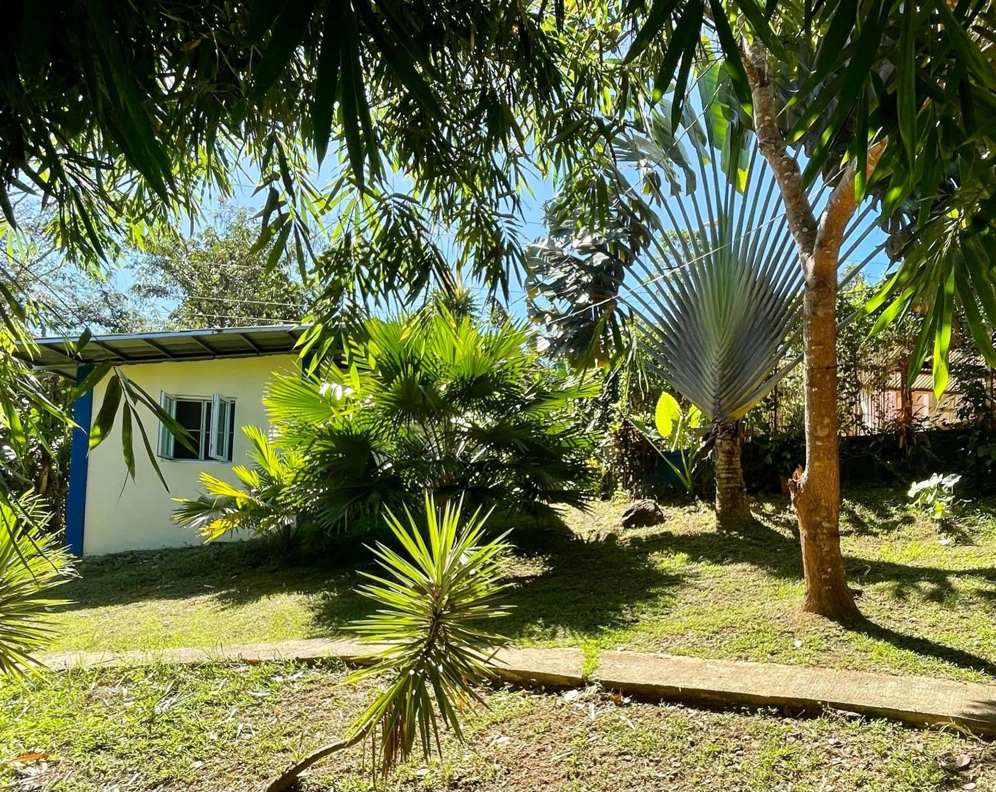 Blue Moon Guesthouse Puerto Princesa Dış mekan fotoğraf