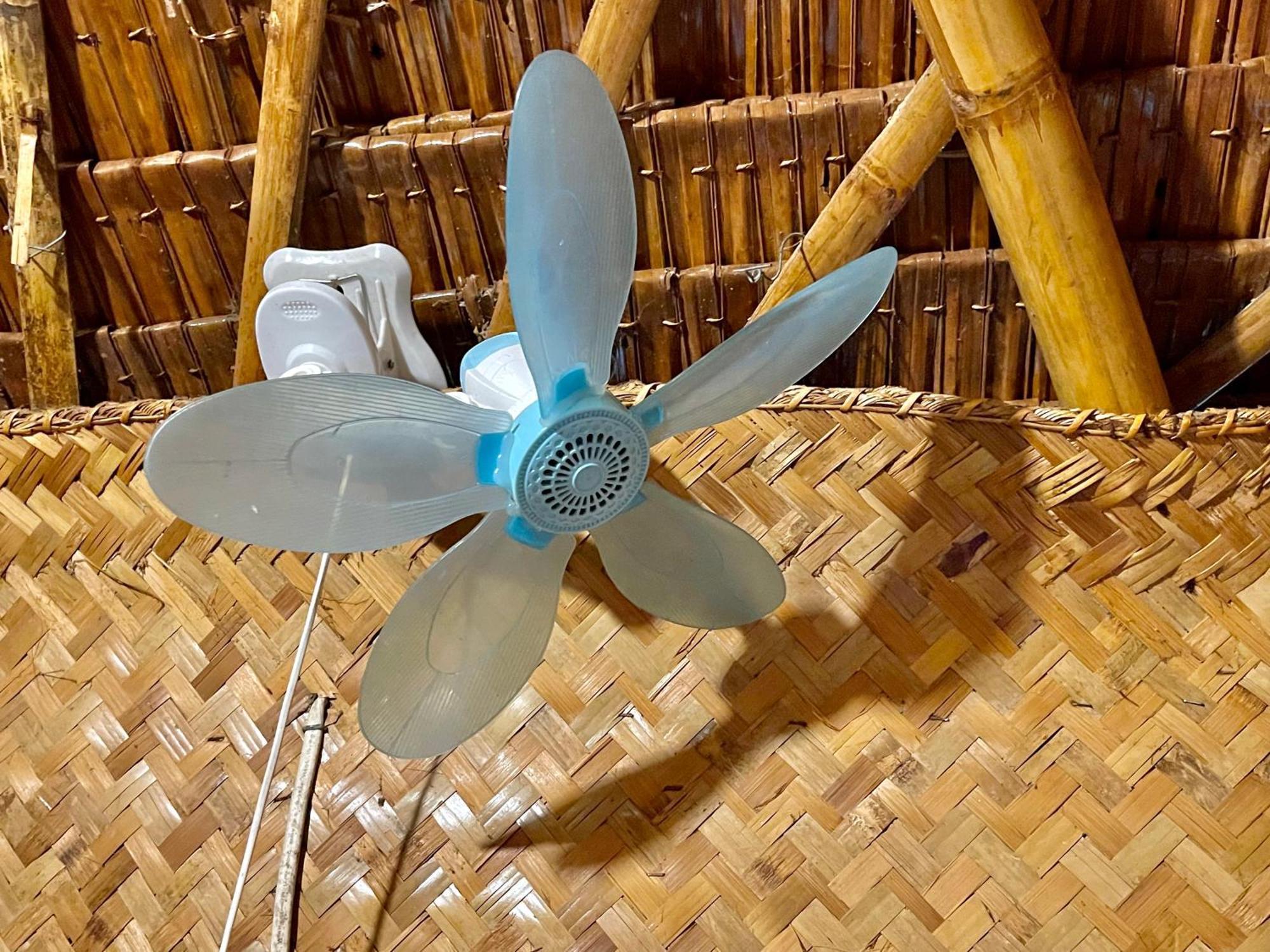 Blue Moon Guesthouse Puerto Princesa Dış mekan fotoğraf