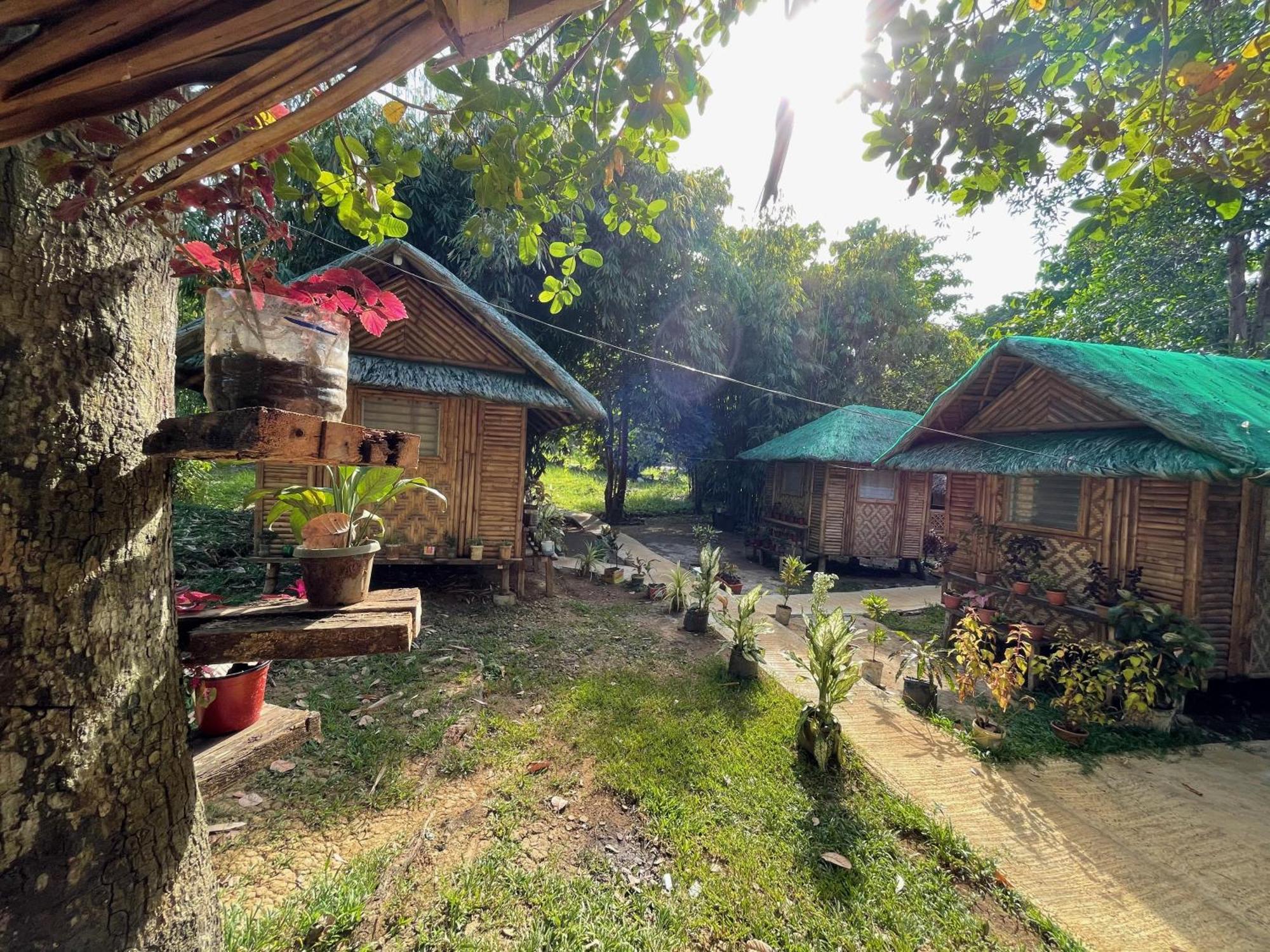 Blue Moon Guesthouse Puerto Princesa Dış mekan fotoğraf