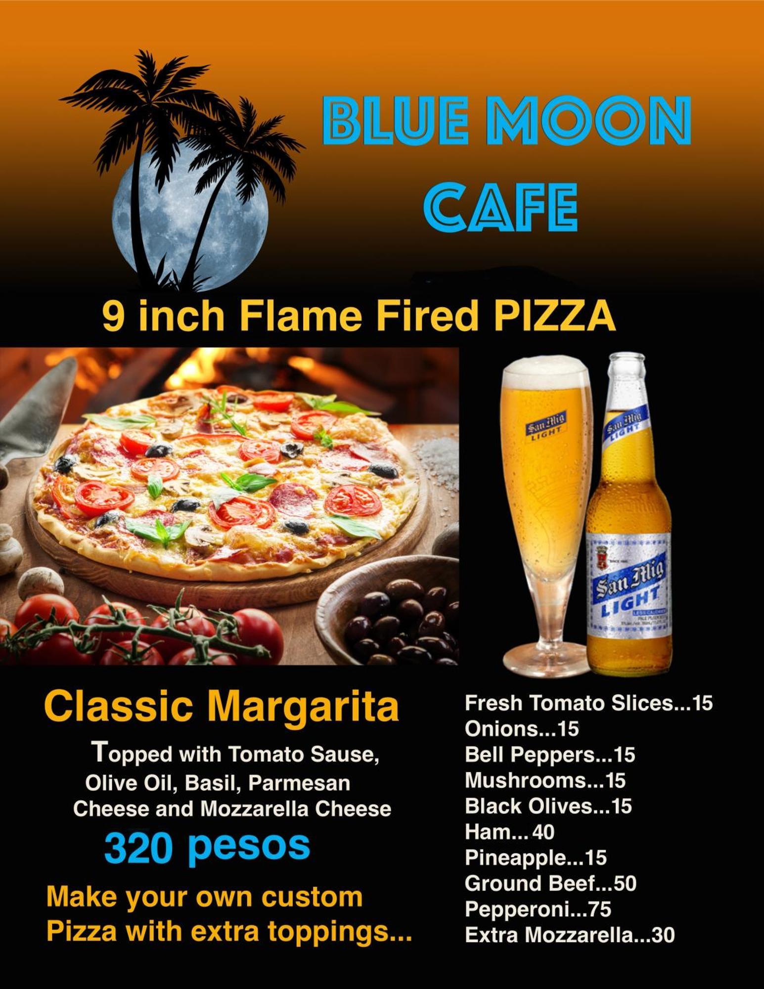 Blue Moon Guesthouse Puerto Princesa Dış mekan fotoğraf